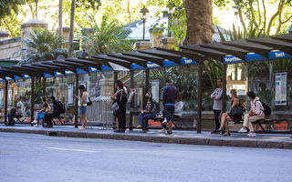 公交免費促悉尼需求激增 政府欲再次施行