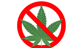 昆州政府审查毒驾法 允许药用大麻服用者上路
