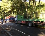 南橫開放緊急通行 高市補助金煌芒果下山