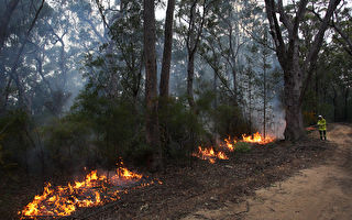 消防局减灾烧荒 悉尼连续两天烟雾弥漫