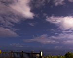 赏星观月最佳秘境 花莲七星潭海湾防风林