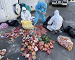 防堵非洲猪瘟 台环保署：不明肉品勿丢厨余桶