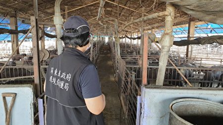 因應非洲豬瘟病毒來襲，屏東縣政府宣布自8月30日起外縣市廚餘一律禁止進入屏東縣境內。