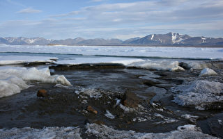 對抗中共壟斷 加拿大公司買格陵蘭稀土勘探權