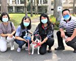 校园犬绩优选拔 龙井国中校犬获特优
