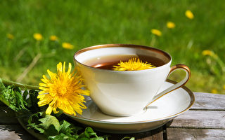 雜草變藥草 自製蒲公英茶助消化、增強免疫力