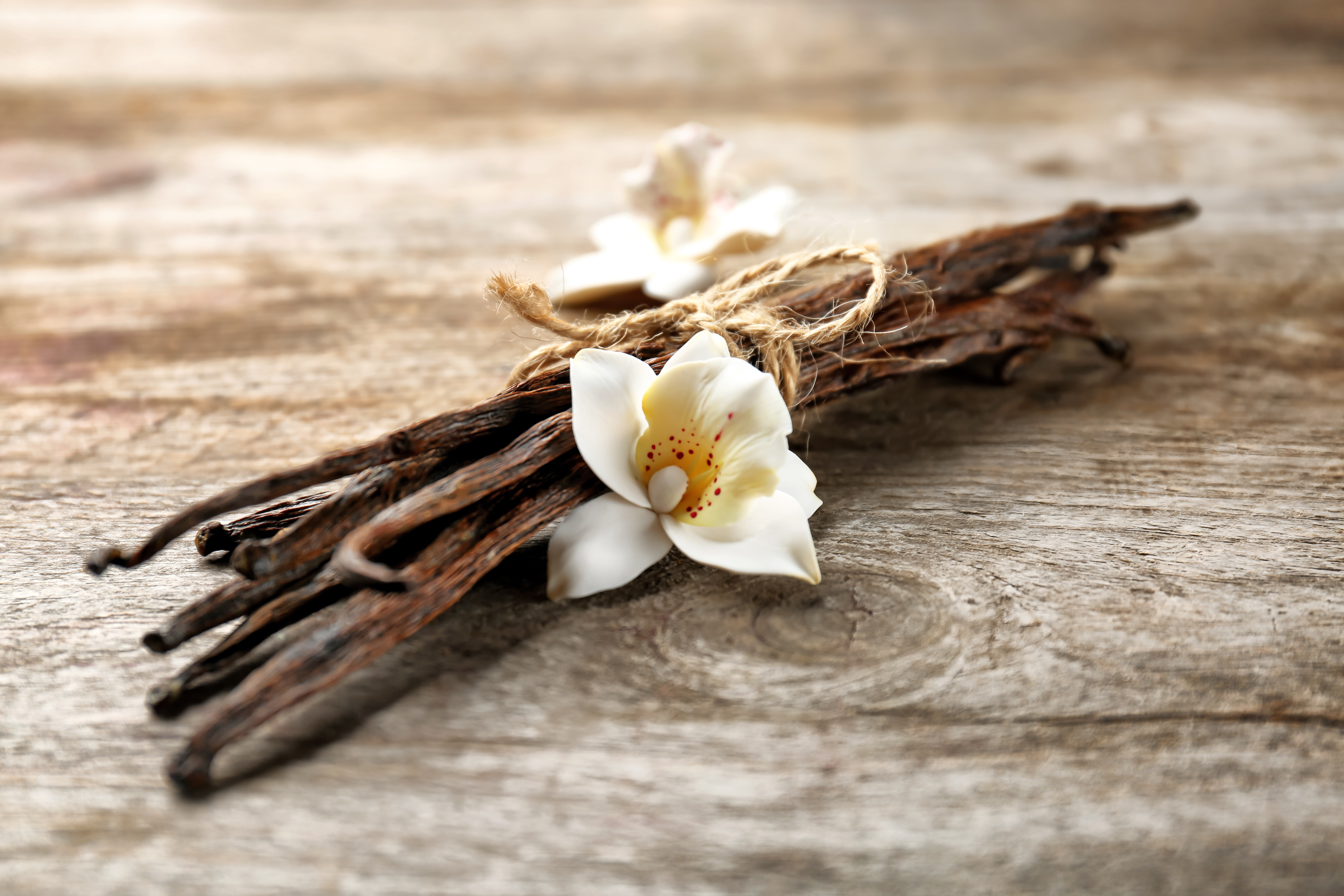 香草莢剁碎，與乾燥的蒲公英花混合，一起保存在密封罐中。（Shutterstock）