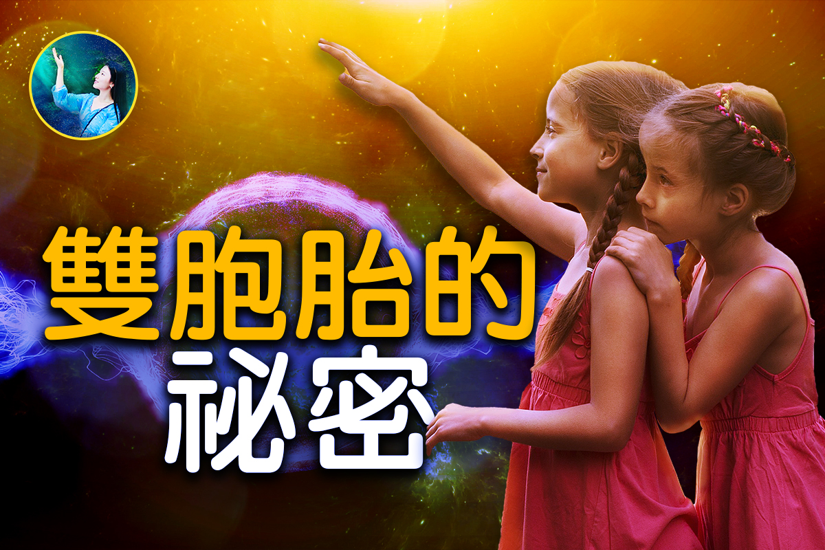 吉姆•查普曼双胞胎