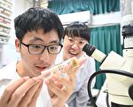 清大解开细胞核增大之谜 可望应用在癌症研究
