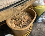 禁厨余首日 宜县查获礁溪1养猪场违规