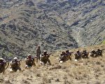 塔利班宣稱勝利 阿富汗反抗聯軍：是假消息