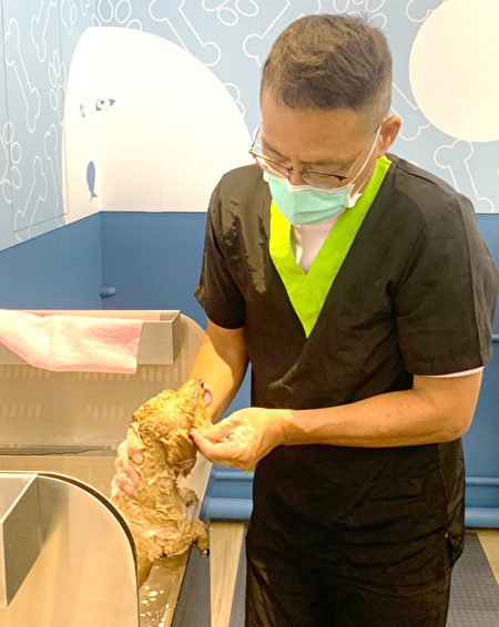 「寵物美容專業訓練班」授課趙興邦老師，示範洗護小狗動作必須十分細心。