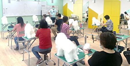「寵物美容專業訓練班」成員聚精會神，先以假狗認真學習剪毛技術。 