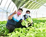 桃园市府支持在地青年  力挺创业从农趣