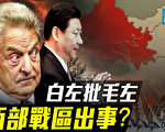 【远见快评】索罗斯“批习三部曲”背后玄机