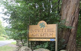 核浩劫的一线希望——Eastwoodhill植物园