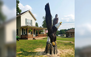 组图：俄州工匠为老兵雕刻巨型木制白头鹰