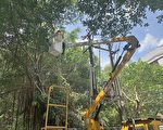 璨樹颱風來襲 台電全力防颱準備