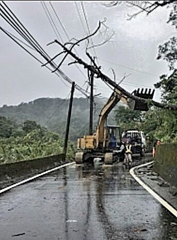 乾枯路樹倒塌壓到電線.