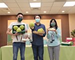 基隆七堵柚子大丰收 林右昌呼吁踊跃购买