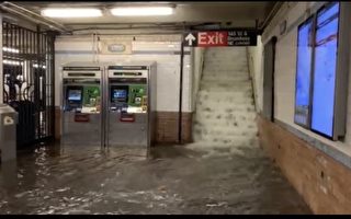 「艾達」估計給MTA帶來超7500萬元損失