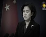 中国版“不能呼吸” 网民：“华大妈怎么看？”