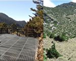 停机坪违规搭棚帐 玉管处吁登山民众自律