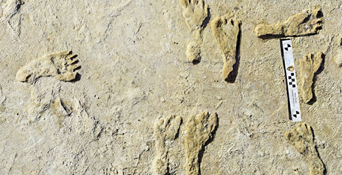 北美最古老人类脚印出土 距今2.3万年