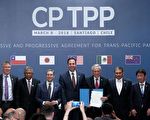 CPTPP成兩岸新角力場？中西專家解讀