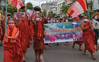 缅甸番红花革命十四周年 僧侣游行抗议军政府