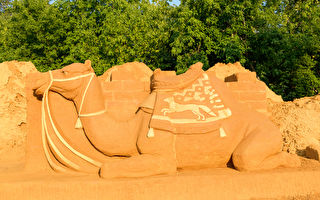 研究：阿拉伯骆驼雕塑比巨石阵更古老
