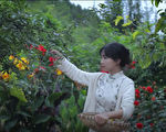 揚箭：李子柒在鄉村跌了一跤，把網紅摔得頭破血流