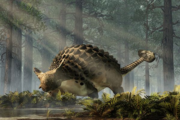 恐龍新物種化石驚現非洲 為迄今最古老甲龍