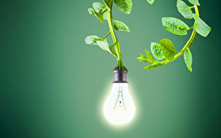 MIT新技術讓植物可以充電並發光