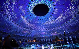 组图：迪拜世界博览会开幕 展现华丽灯光秀