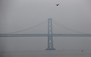 湾区空气局发布周六空气质量警告