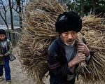 陈思敏：中共“全面小康”白皮书对贫富差距视而不见