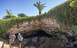 摩洛哥洞穴出土制衣用的骨工具 距今12万年