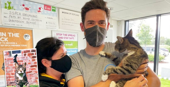 苏格兰宠物猫咪失踪 十年后与主人团聚