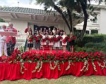 2022新年花车游行恢复 玫瑰王室出炉