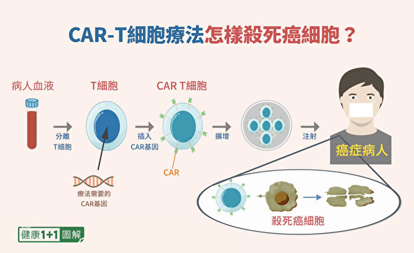 CAR-T疗法的制作步骤和抗癌方式。（健康1+1／大纪元）