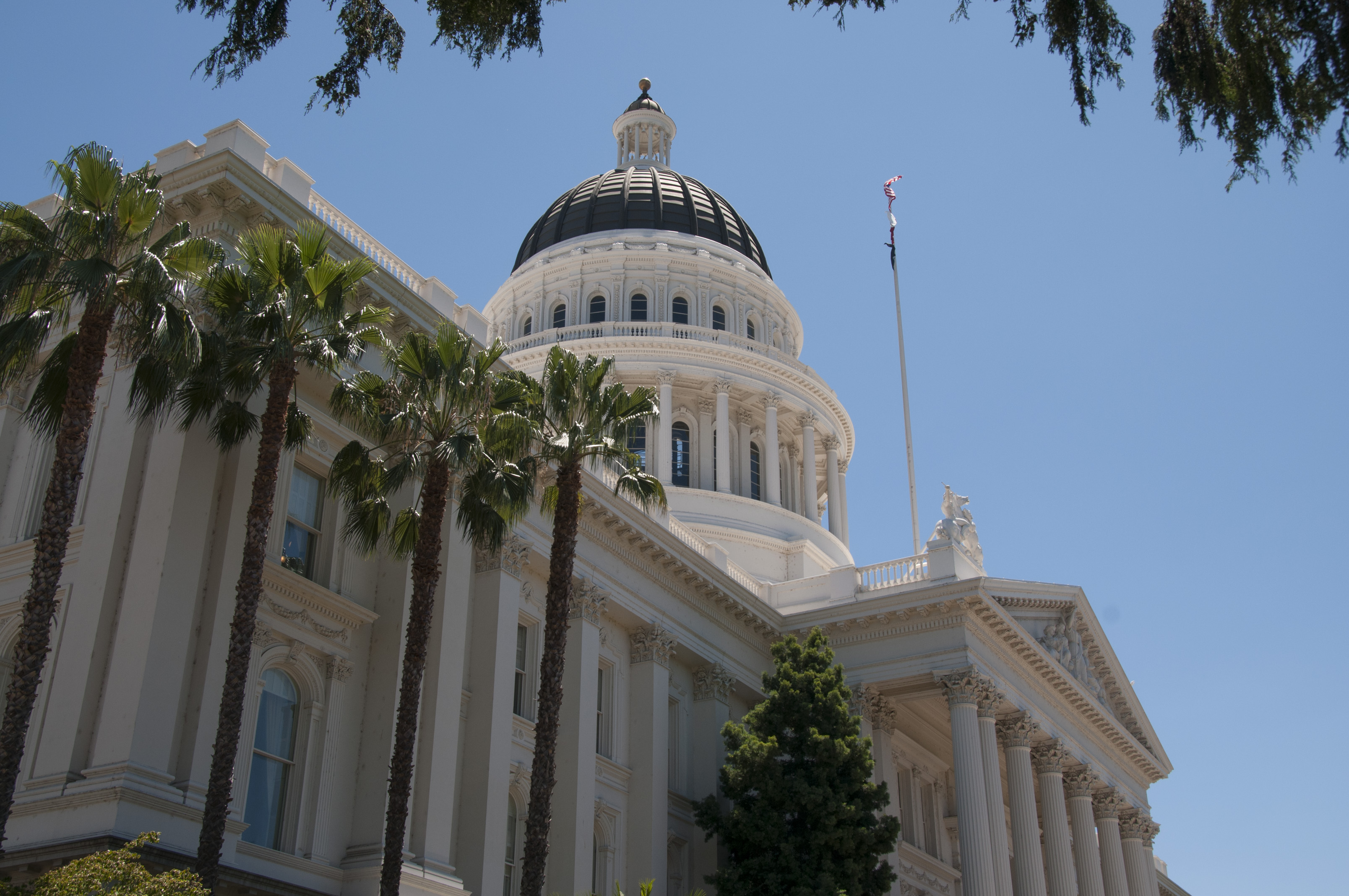 加州2022年幾個重要公投提案