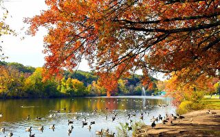 公园局推荐 纽约市观赏秋叶最佳地点