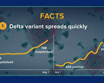 州卫生厅研究：Delta是疫苗效力减退主因