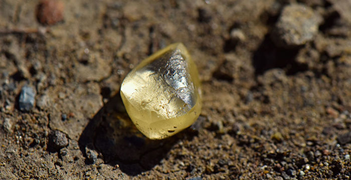 加州幸运夫妇 州立公园内拾到4.38克拉黄钻