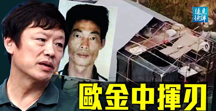 【远见快评】欧金中挥刃舆论沸腾 胡锡进心惊？