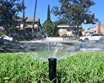 加州迈向第3年严重干旱 纽森宣布更严格节水令