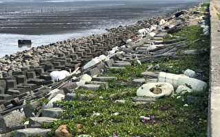西南养殖海废北漂 环团吁速研拟管理规范