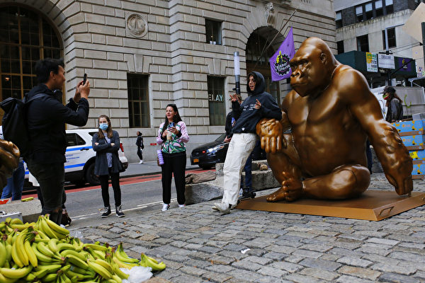 美國華爾街豎立大猩猩銅像 與銅牛相望
