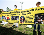 现实版《鱿鱼游戏》在中国上演